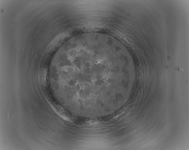 X0000071960742200607141434