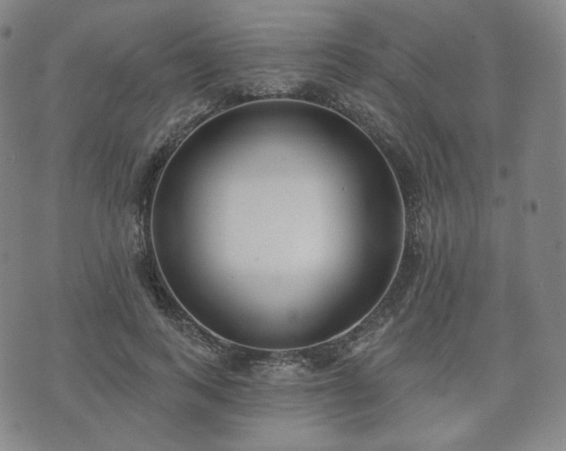 X0000071960743200607141434