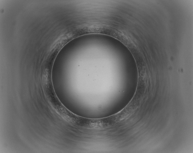 X0000071960744200607141434