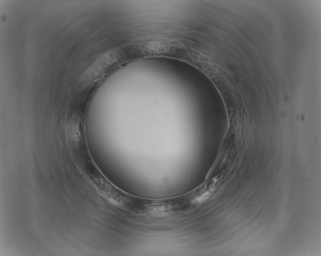 X0000071960746200607141434