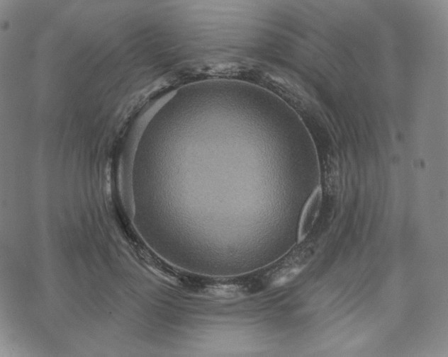 X0000071960748200607141434