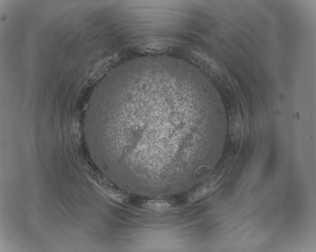 X0000071960749200607141434