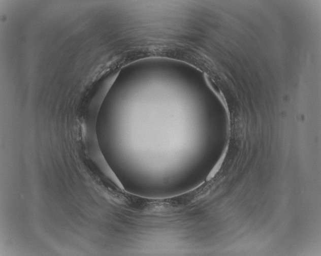 X0000071960750200607141434