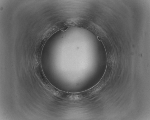 X0000071960751200607141434