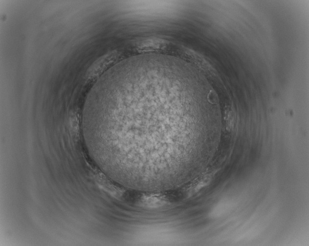 X0000071960753200607141434