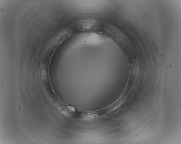 X0000071960754200607141434