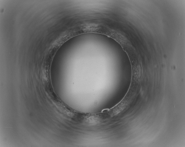 X0000071960755200607141434