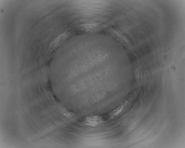 X0000071960757200607141434