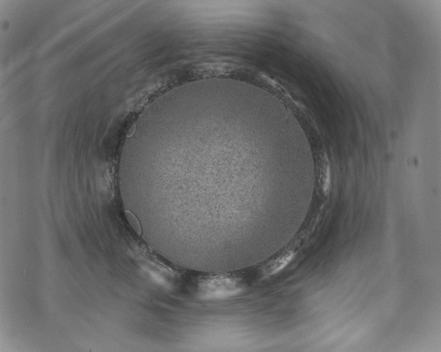 X0000071960759200607141434