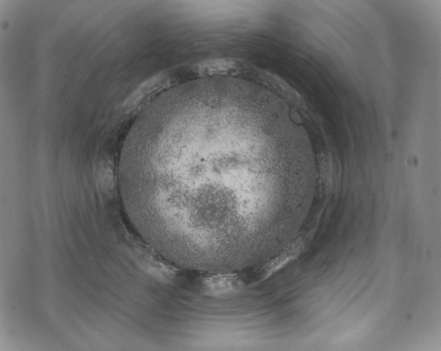 X0000071960761200607141434