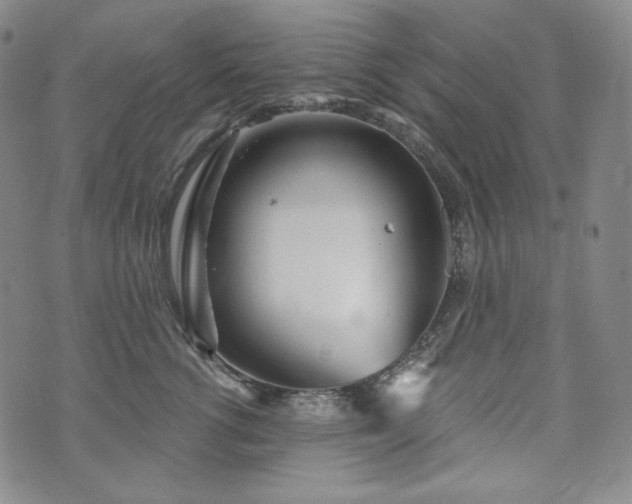 X0000071960762200607141434