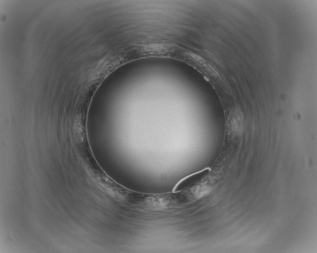 X0000071960764200607141434