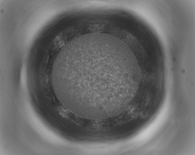 X0000071960765200607141434