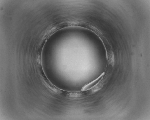 X0000071960766200607141434