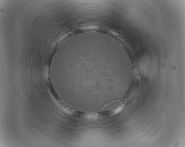 X0000071960767200607141434