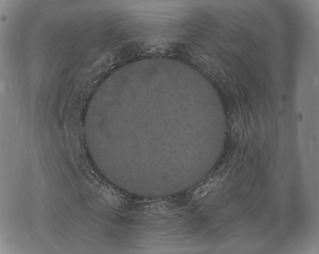 X0000071960769200607141433