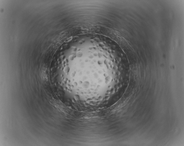 X0000071960770200607141433