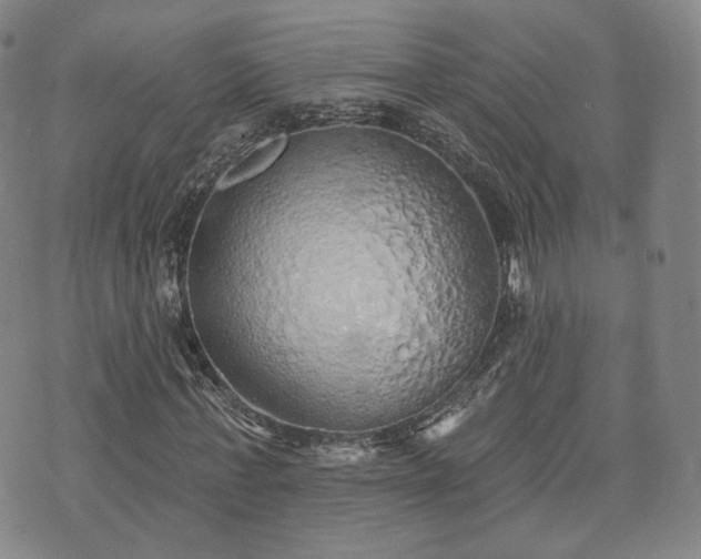 X0000071960771200607141433