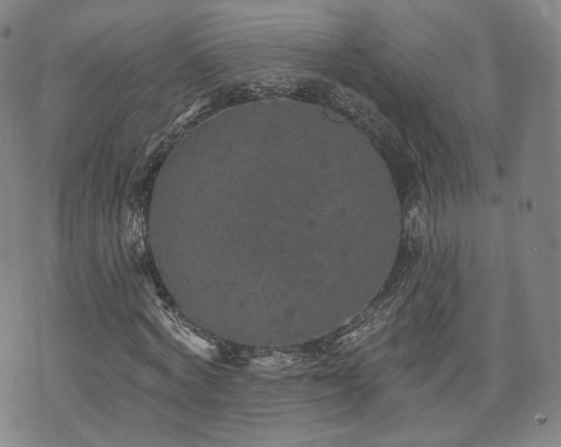 X0000071960772200607141433