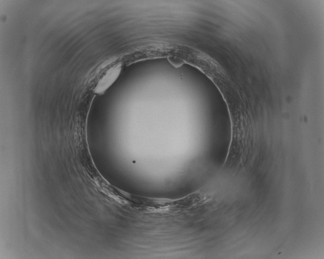 X0000071960773200607141433