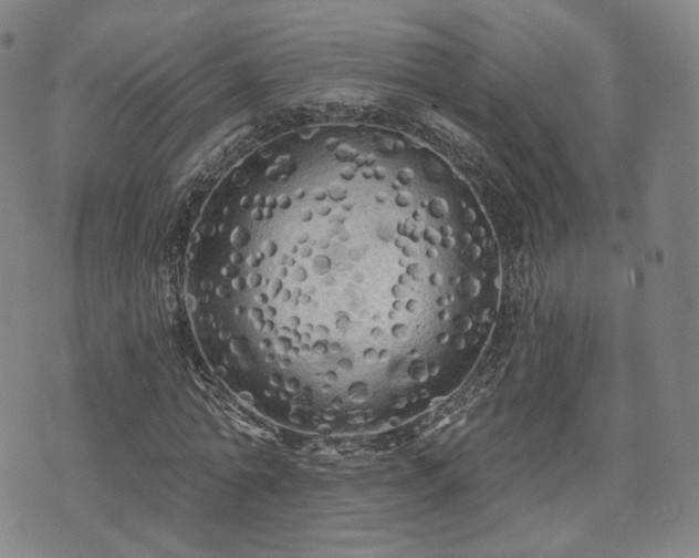 X0000071960774200607141433