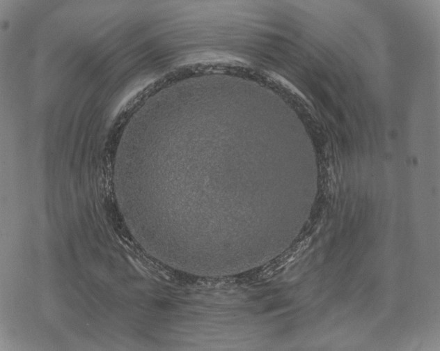 X0000071960775200607141433