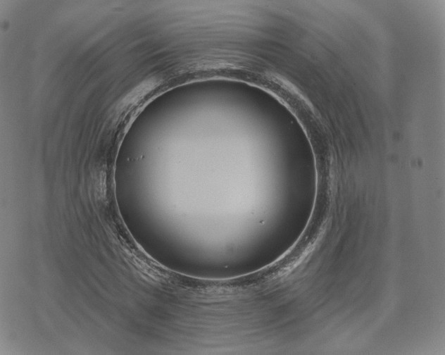 X0000071960777200607141433