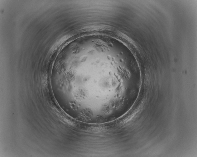 X0000071960778200607141433