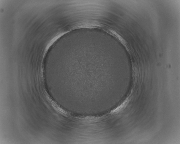 X0000071960779200607141433