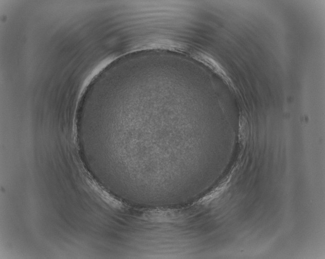 X0000071960780200607141433