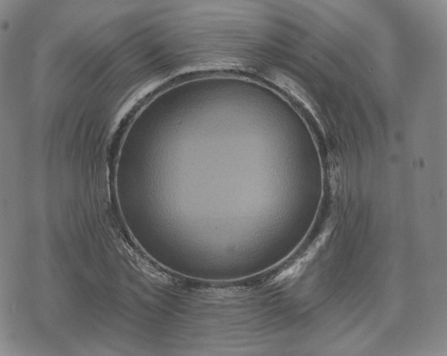 X0000071960781200607141433