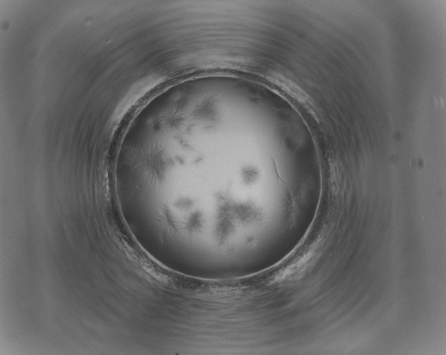 X0000071960782200607141433