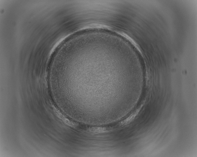 X0000071960783200607141433