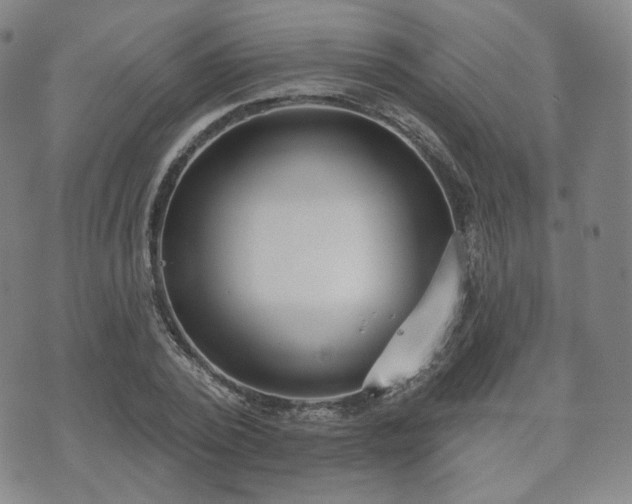 X0000071960784200607141433