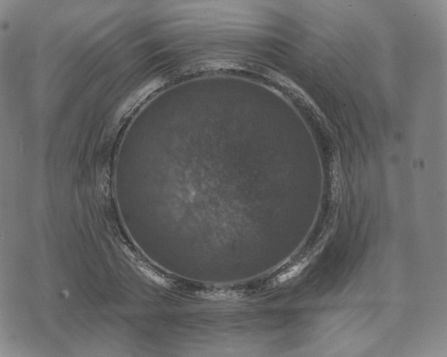 X0000071960785200607141433