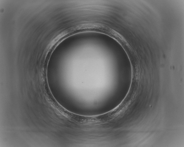 X0000071960786200607141433