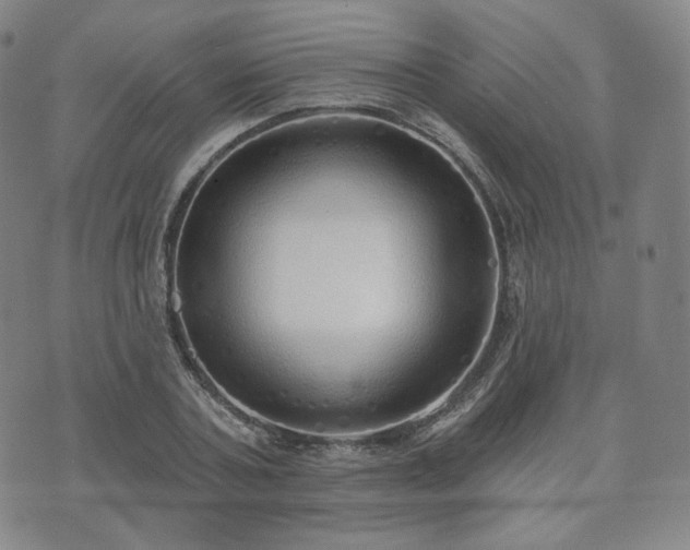 X0000071960787200607141433