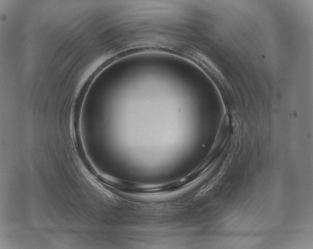 X0000071960788200607141433