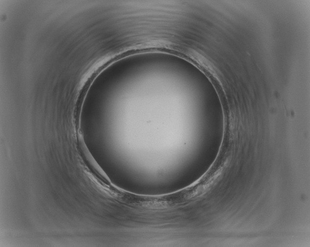 X0000071960789200607141433