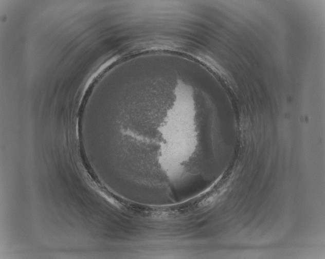 X0000071960790200607141433