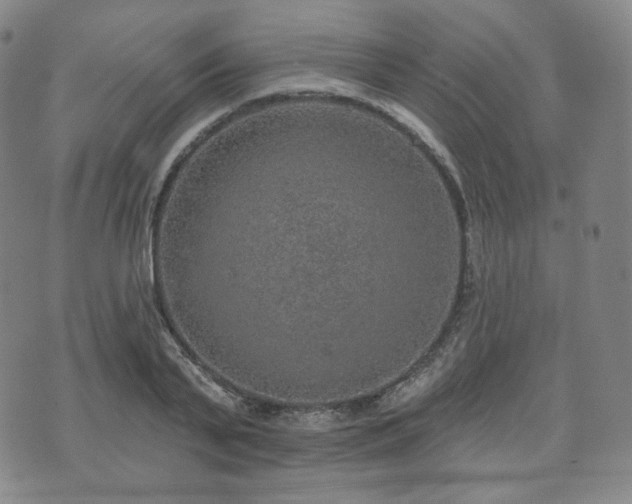 X0000071960791200607141433