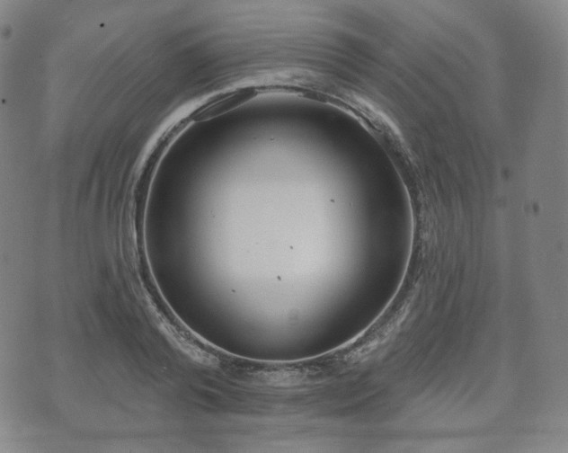 X0000071960792200607141433