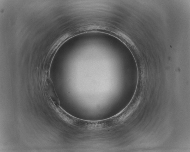 X0000071960793200607141433