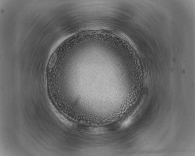 X0000071960795200607141433