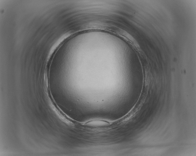 X0000071960796200607141433