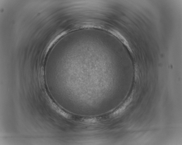 X0000071960798200607141433