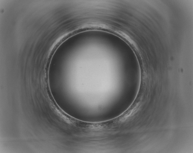 X0000071960799200607141433