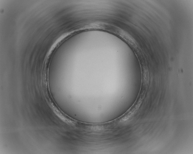 X0000071960800200607141433