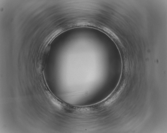 X0000071960801200607141433