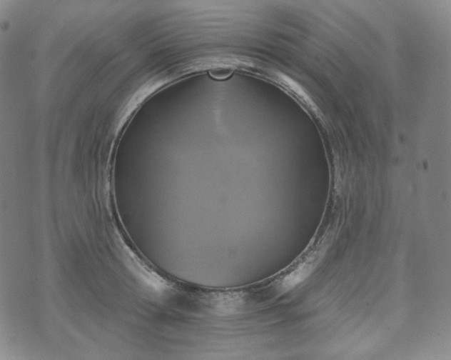 X0000071960802200607141433